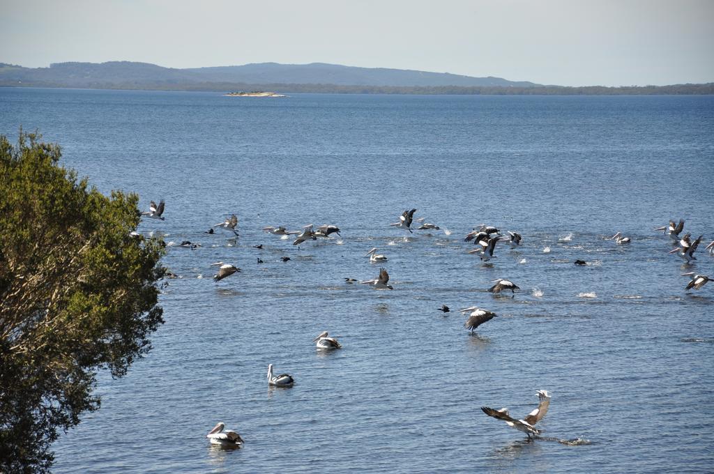 Denmark Waters B&B Rom bilde